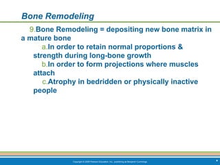 Copyright © 2009 Pearson Education, Inc., publishing as Benjamin Cummings *
Bone Remodeling
9.Bone Remodeling = depositing new bone matrix in
a mature bone
a.In order to retain normal proportions &
strength during long-bone growth
b.In order to form projections where muscles
attach
c.Atrophy in bedridden or physically inactive
people
 