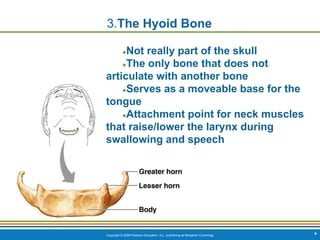 Copyright © 2009 Pearson Education, Inc., publishing as Benjamin Cummings *
3.The Hyoid Bone
●Not really part of the skull
●The only bone that does not
articulate with another bone
●Serves as a moveable base for the
tongue
●Attachment point for neck muscles
that raise/lower the larynx during
swallowing and speech
 