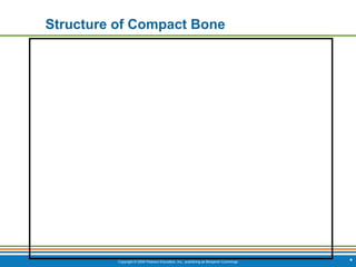 Copyright © 2009 Pearson Education, Inc., publishing as Benjamin Cummings
Structure of Compact Bone
*
 