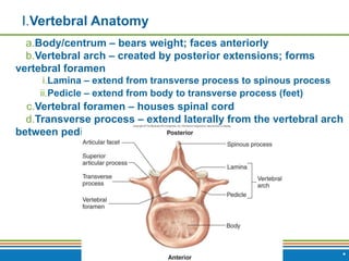 Copyright © 2009 Pearson Education, Inc., publishing as Benjamin Cummings
I.Vertebral Anatomy
a.Body/centrum – bears weight; faces anteriorly
b.Vertebral arch – created by posterior extensions; forms
vertebral foramen
i.Lamina – extend from transverse process to spinous process
ii.Pedicle – extend from body to transverse process (feet)
c.Vertebral foramen – houses spinal cord
d.Transverse process – extend laterally from the vertebral arch
between pedicle & lamina
*
 