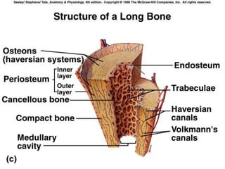 Copyright © 2009 Pearson Education, Inc., publishing as Benjamin Cummings *
 
