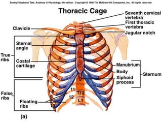 Copyright © 2009 Pearson Education, Inc., publishing as Benjamin Cummings *
 