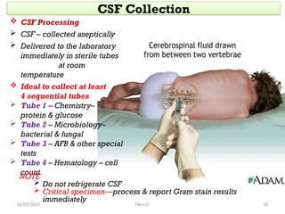 Label Collection Csf CH. 4.pptxt and I will be there in about | PPTX