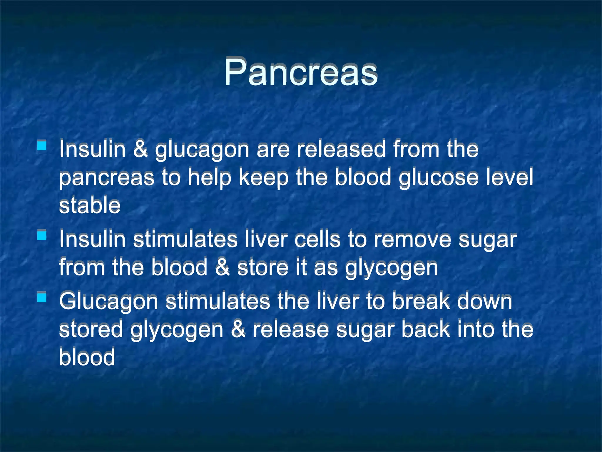 Pancreas
 Insulin & glucagon are released from the
pancreas to help keep the blood glucose level
stable
 Insulin stimulates liver cells to remove sugar
from the blood & store it as glycogen
 Glucagon stimulates the liver to break down
stored glycogen & release sugar back into the
blood
 