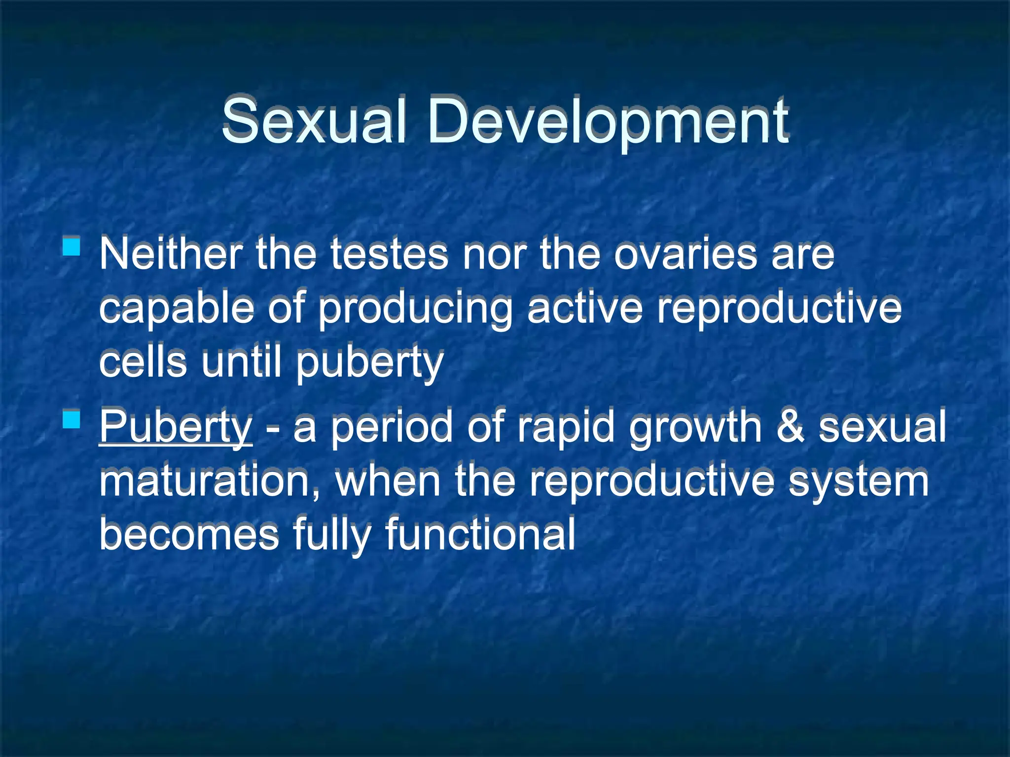 Sexual Development
 Neither the testes nor the ovaries are
capable of producing active reproductive
cells until puberty
 Puberty - a period of rapid growth & sexual
maturation, when the reproductive system
becomes fully functional
 