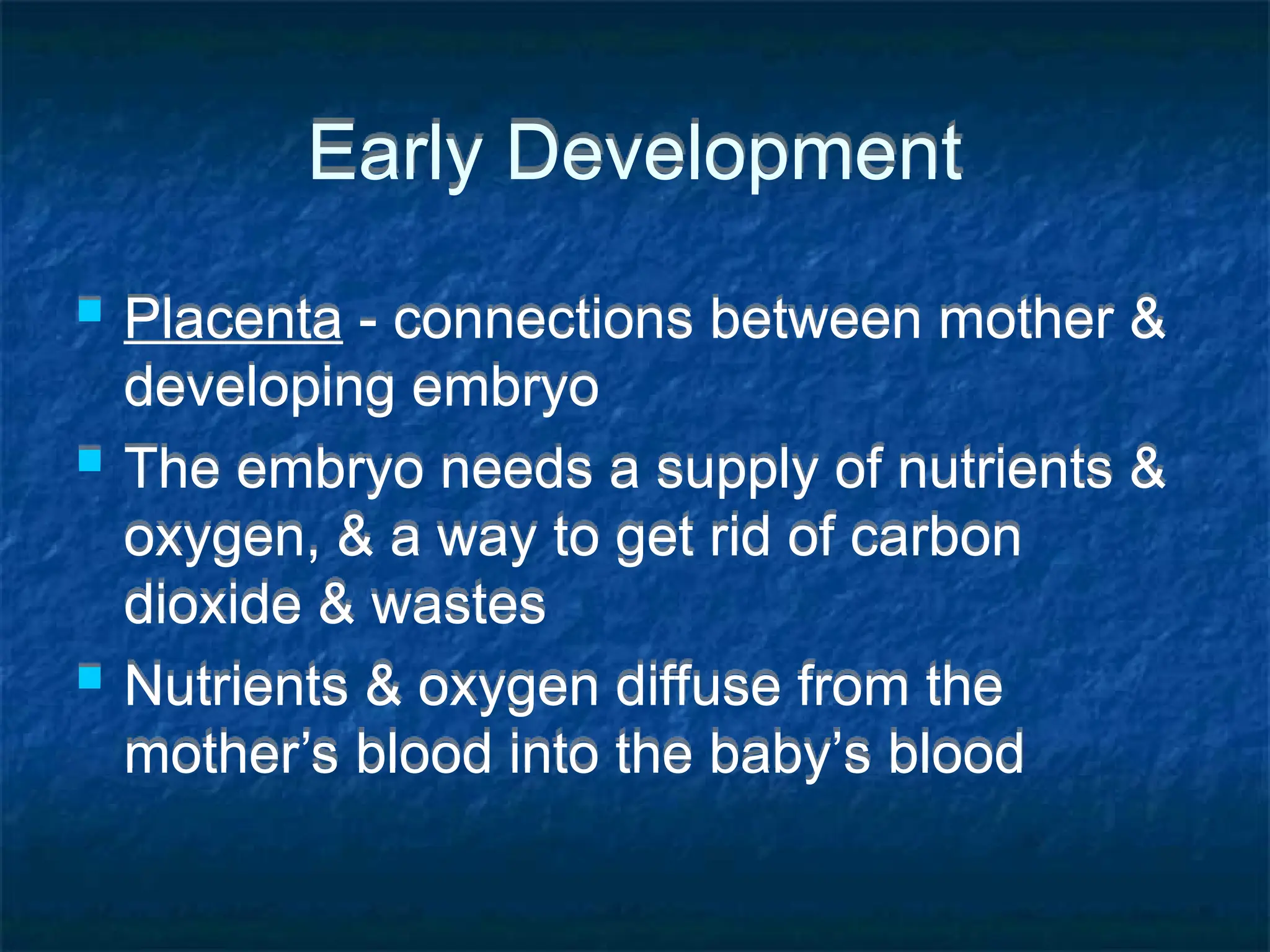 Early Development
 Placenta - connections between mother &
developing embryo
 The embryo needs a supply of nutrients &
oxygen, & a way to get rid of carbon
dioxide & wastes
 Nutrients & oxygen diffuse from the
mother’s blood into the baby’s blood
 