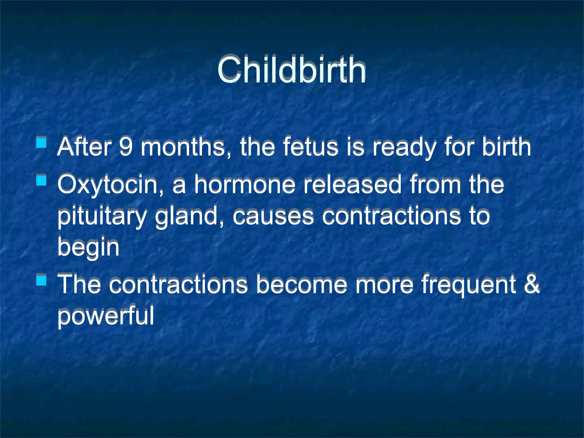 Childbirth
 After 9 months, the fetus is ready for birth
 Oxytocin, a hormone released from the
pituitary gland, causes contractions to
begin
 The contractions become more frequent &
powerful
 