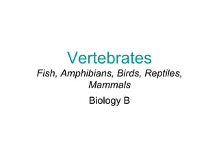 Vertebrates
Fish, Amphibians, Birds, Reptiles,
           Mammals
            Biology B
 
