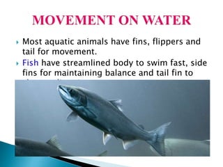 Animals Not Streamlined Ch 2 Reproduction in Animals | PPTX