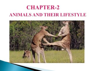 Ch 2 Reproduction in Animals