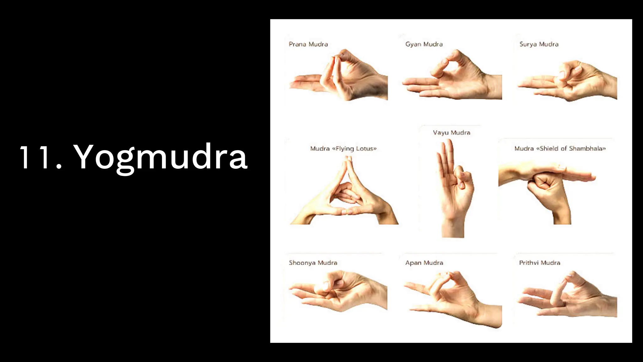 11. Yogmudra
 