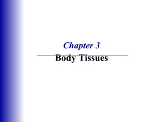 Chapter 3 Body Tissues 
