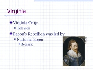 Virginia Virginia Crop: Tobacco Bacon’s Rebellion was led by: Nathaniel Bacon Because: