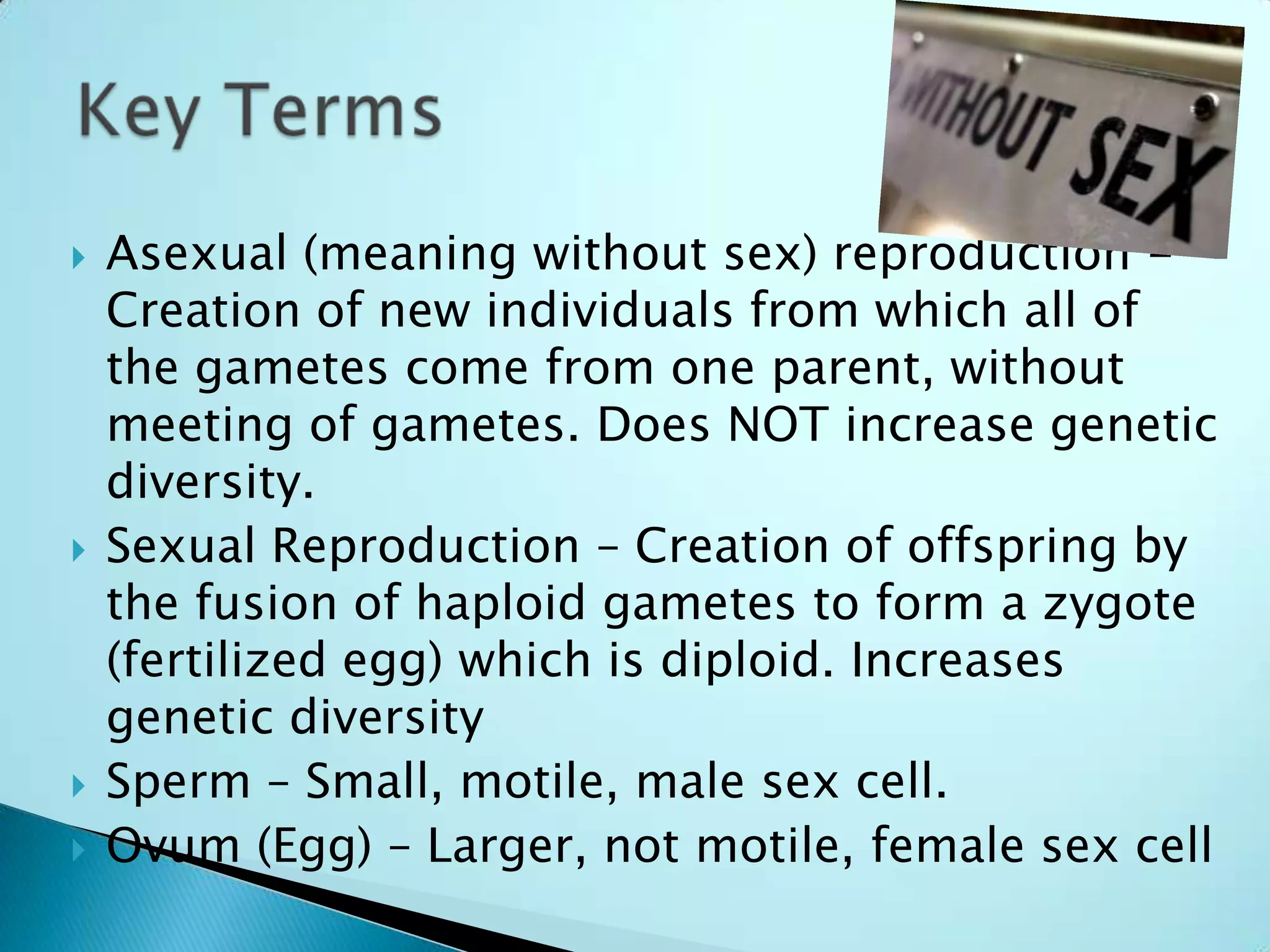 Asexual (meaning without sex) reproduction - Creation of new individuals from which all of the gametes come from one parent, without meeting of gametes. Does NOT increase genetic diversity.Sexual Reproduction – Creation of offspring by the fusion of haploid gametes to form a zygote (fertilized egg) which is diploid. Increases genetic diversitySperm – Small, motile, male sex cell.Ovum (Egg) – Larger, not motile, female sex cellKey Terms