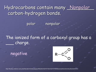 Hydrocarbons contain many _________carbon-hydrogen bonds.                 polar         nonpolarNonpolarThe ionized form of a carboxyl group has a___ charge.negativehttp://faculty.clintoncc.suny.edu/faculty/michael.gregory/files/bio%20101/bio%20101%20lectures/biochemistry/biochemi.htm