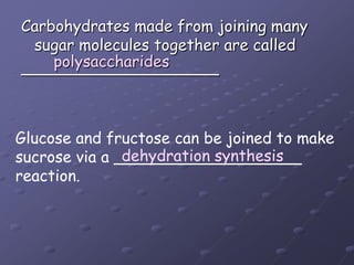 Carbohydrates made from joining manysugar molecules together are called____________________polysaccharidesGlucose and fructose can be joined to makesucrose via a ___________________ reaction.dehydration synthesis