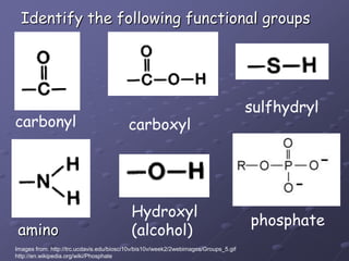 Identify the following functional groupssulfhydrylcarbonylcarboxylHydroxyl(alcohol)phosphateaminoImages from: http://trc.ucdavis.edu/biosci10v/bis10v/week2/2webimages/Groups_5.gifhttp://en.wikipedia.org/wiki/Phosphate