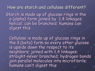 How are starch and cellulose different?Starch is made up of glucose rings in the α (alpha) form joined by  1,4 linkages; helical; can be branched; humans can digest thisCellulose is made up of glucose rings in the ß (beta) form so every other glucose is upside down the respect to its neighbors; joined with 1,4 linkages; straight-never branched; hydrogen bonds join parallel molecules into microfibrils; humans can’t digest this