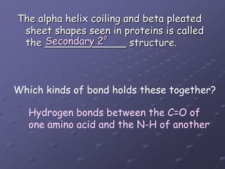 The alpha helix coiling and beta pleated sheet shapes seen in proteins is called the _____________ structure. Secondary 2oWhich kinds of bond holds these together?Hydrogen bonds between the C=O ofone amino acid and the N-H of another