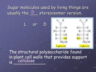 Sugar molecules used by living things areusually the ___ stereoisomer version.             L     or     DDThe structural polysaccharide foundin plant cell walls that provides supportis ____________cellulose