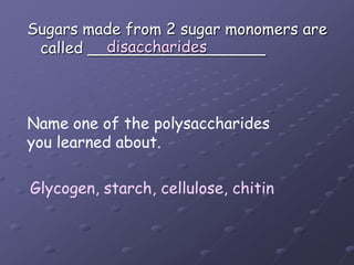 Sugars made from 2 sugar monomers are called __________________disaccharidesName one of the polysaccharides you learned about.Glycogen, starch, cellulose, chitin