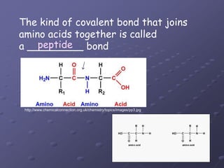 The kind of covalent bond that joins amino acids together is called a _________ bondpeptide->http://www.chemicalconnection.org.uk/chemistry/topics/images/pp3.jpg
