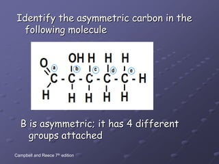 Identify the asymmetric carbon in the following moleculeB is asymmetric; it has 4 different groups attachedCampbell and Reece 7th edition