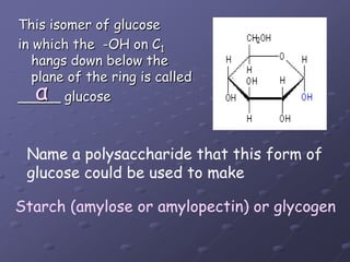 This isomer of glucosein which the  -OH on C1 hangs down below the plane of the ring is called _____ glucoseαName a polysaccharide that this form ofglucose could be used to makeStarch (amylose or amylopectin) or glycogen