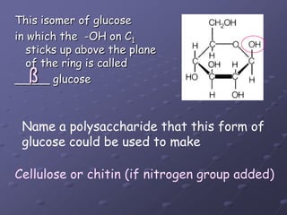 This isomer of glucosein which the  -OH on C1 sticks up above the plane of the ring is called _____ glucoseßName a polysaccharide that this form ofglucose could be used to makeCellulose or chitin (if nitrogen group added)