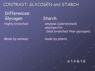 CONTRAST: GLYCOGEN and STARCHDifferences:Glycogen 			Starch	Highly branched		   amylose (unbranched)				   amylopectin                                             (less branched than glycogen)Made by animals		   made by plantsα 1,4 & 1,6