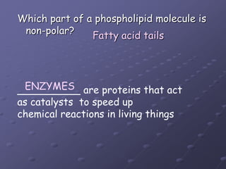 Which part of a phospholipid molecule is non-polar?Fatty acid tailsENZYMES__________ are proteins that act as catalysts  to speed upchemical reactions in living things