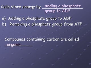 adding a phosphate group to ADPCells store energy by ________________ a)  Adding a phosphate group to ADP b)   Removing a phosphate group from ATPCompounds containing carbon are called___________organic