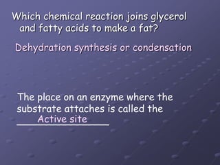 Which chemical reaction joins glycerol and fatty acids to make a fat?Dehydration synthesis or condensationThe place on an enzyme where the substrate attaches is called the_______________Active site