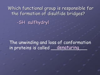 Which functional group is responsible for the formation of disulfide bridges?-SH  sulfhydrylThe unwinding and loss of conformationin proteins is called _____________ denaturing