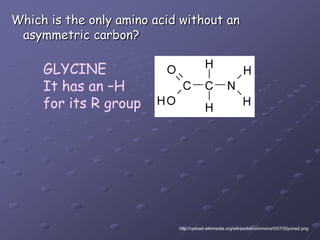 GLYCINEIt has an –Hfor its R groupWhich is the only amino acid without anasymmetric carbon?http://upload.wikimedia.org/wikipedia/commons/0/07/Glycine2.png