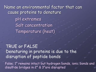 Name an environmental factor that can cause proteins to denaturepH extremesSalt concentrationTemperature (heat)TRUE or FALSEDenaturing in proteins is due to the disruption of peptide bondsFalse; 1° remains intact but hydrogen bonds, ionic bonds and disulfide bridges in 2° & 3°are disrupted