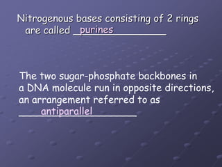 Nitrogenous bases consisting of 2 ringsare called _______________purinesThe two sugar-phosphate backbones ina DNA molecule run in opposite directions, an arrangement referred to as___________________antiparallel