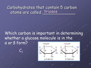 Carbohydrates that contain 5 carbon atoms are called _____________triosesWhich carbon is important in determiningwhether a glucose molecule is in theα or ß form?C1