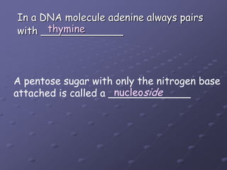 In a DNA molecule adenine always pairs with _____________thymineA pentose sugar with only the nitrogen baseattached is called a _____________nucleoside