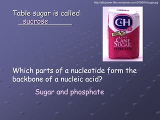 http://altopower.files.wordpress.com/2008/04/sugar.jpgTable sugar is called ____________sucroseWhich parts of a nucleotide form thebackbone of a nucleic acid?Sugar and phosphate
