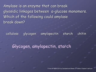 Amylase is an enzyme that can break glyosidic linkages between  α-glucose monomers.Which of the following could amylasebreak down?cellulose     glycogen     amylopectin     starch     chitinGlycogen, amylopectin, starch? From AP BIOLOGY by Campbell and Reese  7th edition Chapter 5 self quiz