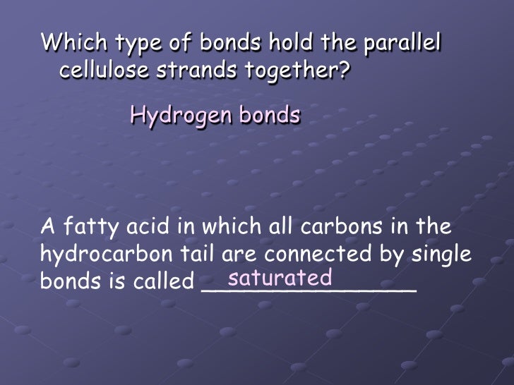 What type of bond holds nitrogen bases together?