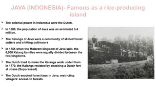 CH-4 FOREST SOCIETY AND COLONIALISM.pptx