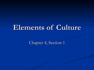 Elements of Culture Chapter 4, Section 1 