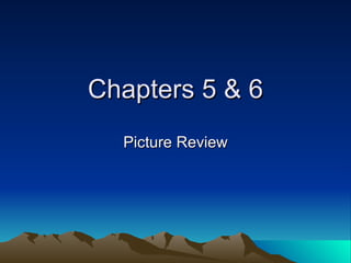 Chapters 5 & 6 Picture Review 