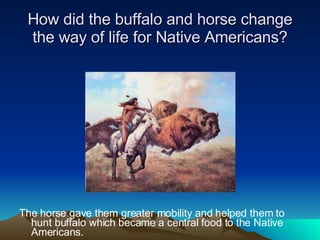 How did the buffalo and horse change the way of life for Native Americans? The horse gave them greater mobility and helped them to hunt buffalo which became a central food to the Native Americans. 