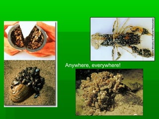 Anywhere, everywhere!
 