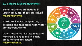 5.2 : Macro & Micro Nutrients :
Some nutrients are needed in
larger amounts, these are called
macronutrients.
Nutrients like Carbohydrates,
proteins and fats along with water
are macronutrients.
Other nutrients like vitamins and
minerals are required in small
amounts and are called
micronutrients.
 