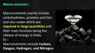 Macro nutrients :
Macronutrients mainly include
carbohydrates, proteins and fats
and also water which are
required in large quantities and
their main function being the
release of energy in body.
Ex :
Macronutrients include Carbon,
Oxygen, Hydrogen, and Nitrogen.
 