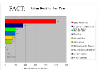 Avian Deat hs Per Year
1.5
7
67
75
100
174
500
0.000809106
0.001
100
0 100 500 600
1
200 300 400
A nu a lBird De aths(Mi l io ns)
G l a s W indows
ElectricTransmision
Line Co lisions
H o u s e c a t s
Hunting
Aut omobiles
Agriculture
Communicat ion Towers
OilandGasExtraction
Electrocution
WindTurbines
FACT:
 